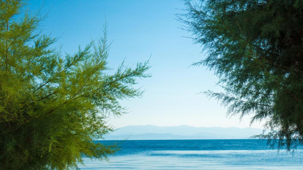 Afissos Seaside Studios Экстерьер фото